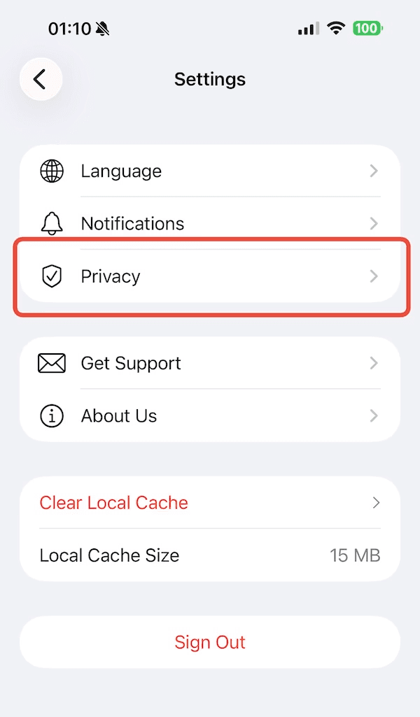 Settings screen with the Privacy entry highlighted
